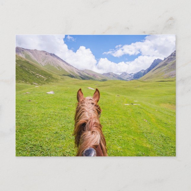 Auf dem Pferd zurück Postkarte (Vorderseite)