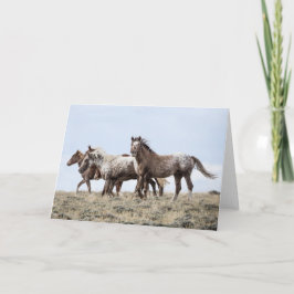 Auf dem Rücken: Galloping to Freedom Grußkarte Karte