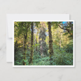 Auf dem Weg Postkarte
