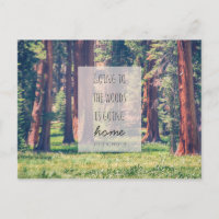 Auf dem Weg zum Wald | Postkarte