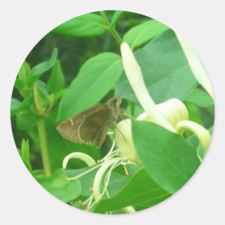 Auf den Geißblatt-Aufklebern Runder Aufkleber