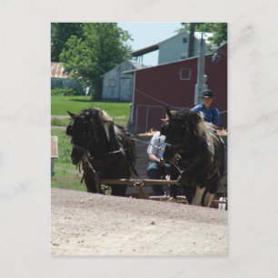 Auf den Hügel kommen Postkarte