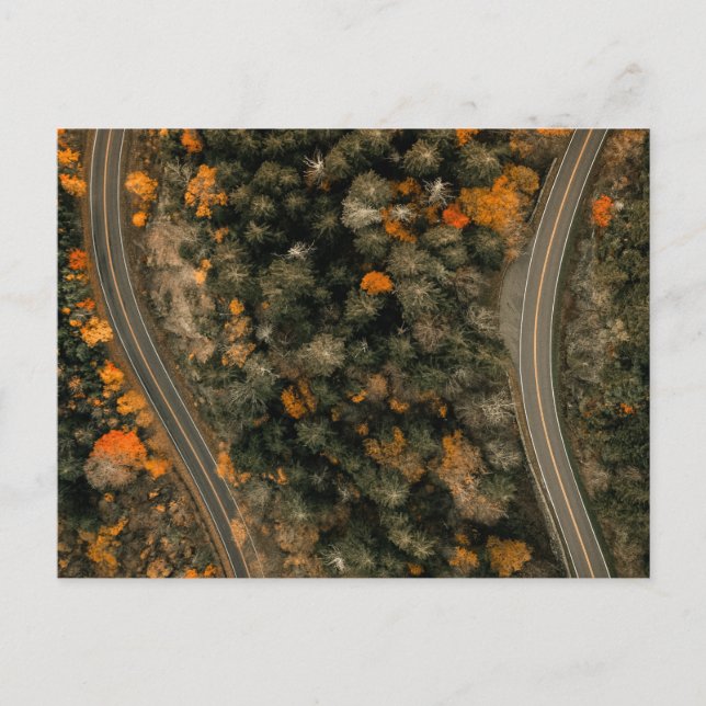 AUF DEN SPUREN DES HERBSTS POSTKARTE (Vorderseite)