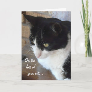 Auf den Verlust Ihrer Hauskatze mit Gedicht. Karte