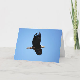 Auf der Adlerwingkarte Karte