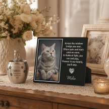 Auf der anderen Seite der Regenbogenbrücke