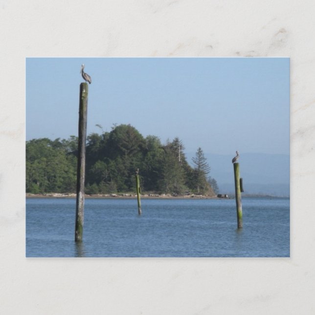 Auf der Guard Postcard Postkarte (Vorderseite)