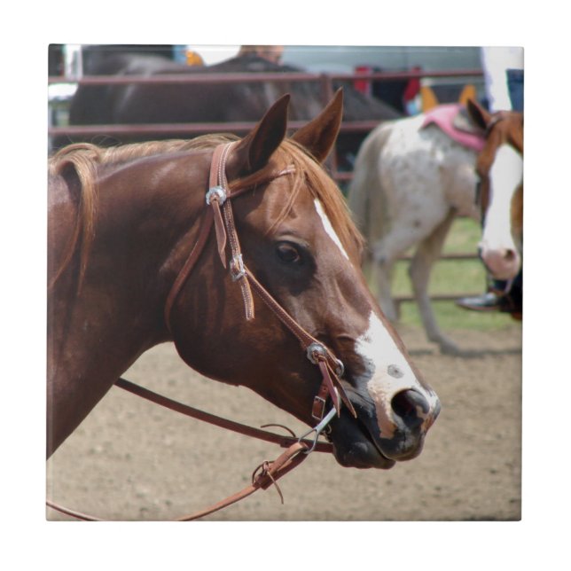 Auf der Pferdeausstellung Fliese (Vorderseite)