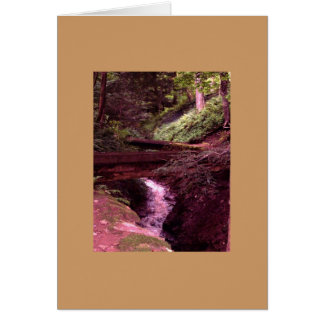 Auf der rechten Pfadkarte