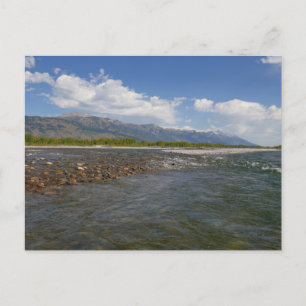 Auf der Schlange II Postkarte