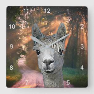 Auf der Straße mit Pepe der Alpaca Quadratische Wanduhr