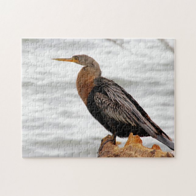 Auf der Suche (Horizontal)