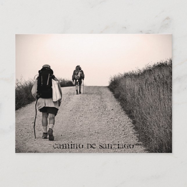 Auf der Suche nach Camino de Santiago Postkarte (Vorderseite)