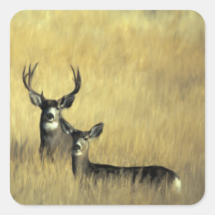 Auf der Suche nach Mule Deer Quadratischer Aufkleber