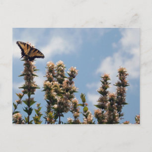 Auf der Weltspitze Postkarte