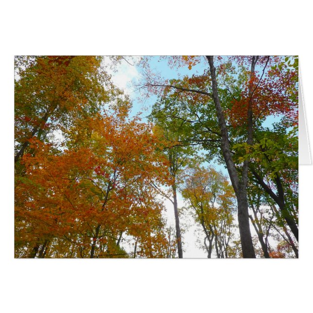 Auf die Herbstlaube schauend Ich farbige Fallfolie (Vorderseite (Horizontal))