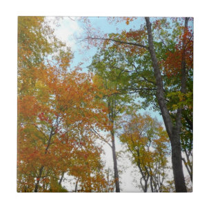 Auf die Herbstlaube schauend Ich farbige Fallfolie Fliese