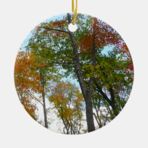 Auf die Herbstlaube schauend Ich farbige Fallfolie Keramikornament