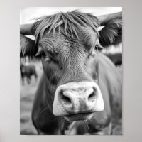 Auf die Ranch Kuh Schwarz-Weiß-Poster gehen