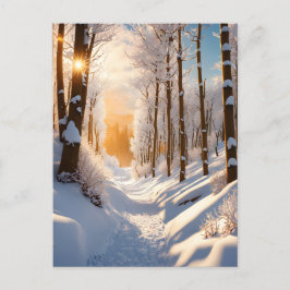 Auf dieser Schneedecke erwartet Sie ein Winterwund Postkarte