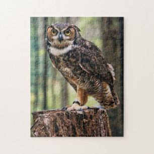 Auf einem Baumwald Stehendes Schaf