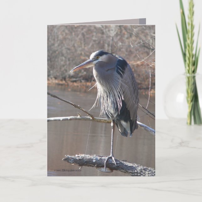 Auf einem Bein Karte (Vorderseite)