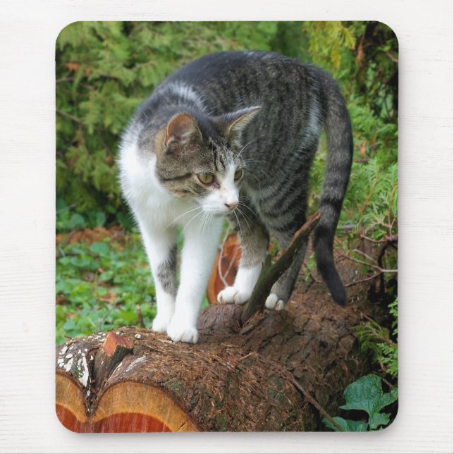 Auf einem Cat Walk - Kitty Mousepad (Vorne)