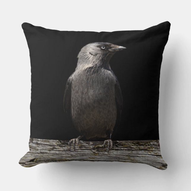 Auf einem Zaun Raven Kissen (Vorderseite)