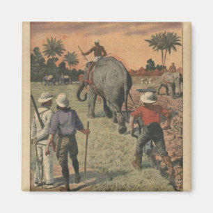 Auf französisch den Kongo, bildete Elefant zum Magnet