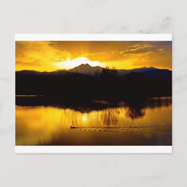 Auf goldenen Teichen Postkarte (Vorderseite)