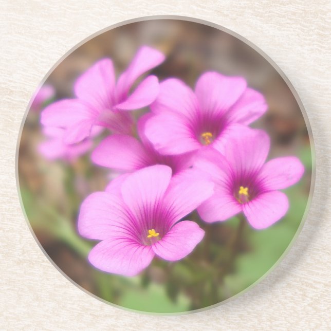 Auf meinem Haustür-Untersetzer Untersetzer (Vorne)