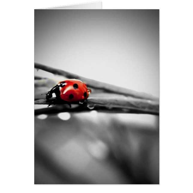 Auf meiner Karte (Vorne)