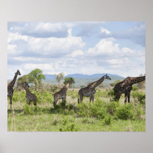 Auf Safari in Mikumi Nationalpark in Tansania, 2 Poster