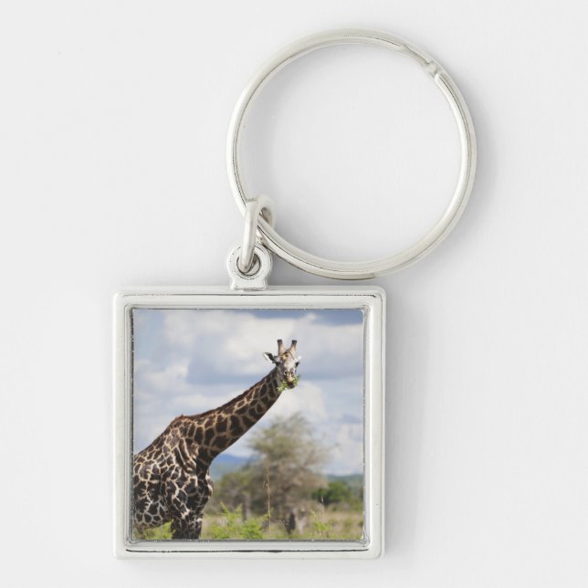 Auf Safari in Tansania, Afrika Schlüsselanhänger (Vorne)
