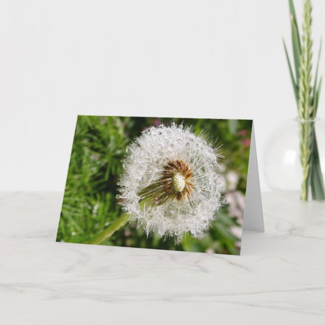 Auf Samen gehen Karte (Vorderseite)