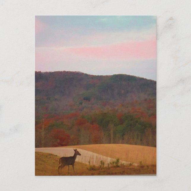 Auf Sonnenuntergang angelegter Golfplatz Postkarte (Vorderseite)