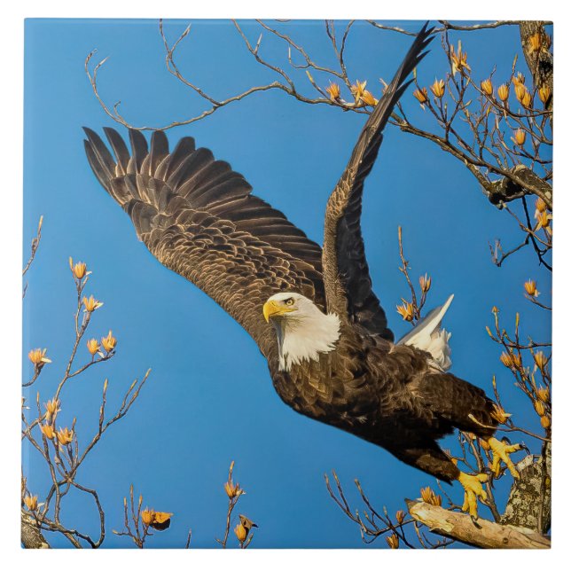 Auf und ab fliese (Vorderseite)