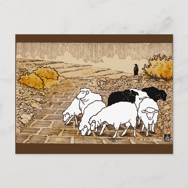 Auf Weide gehen Postkarte (Vorderseite)