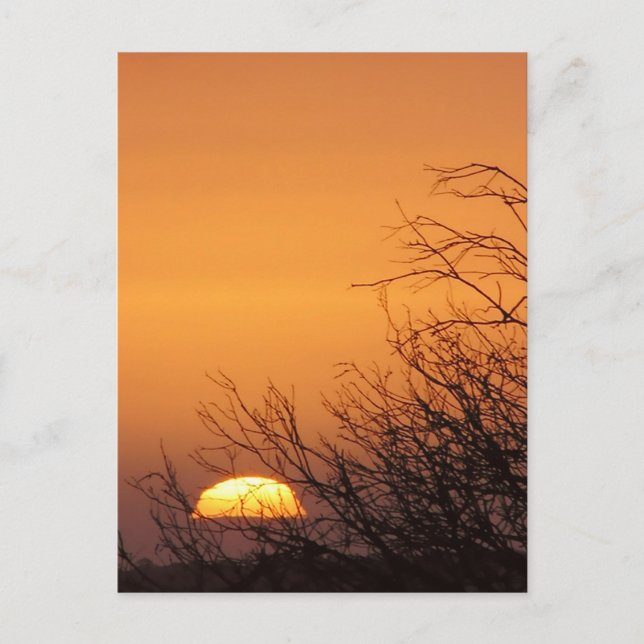 Auf Wiedersehen einer "Sunset-Postkarte" Postkarte (Vorderseite)
