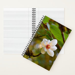 Aufblühende weiße Magnolienblüten Notizbuch
