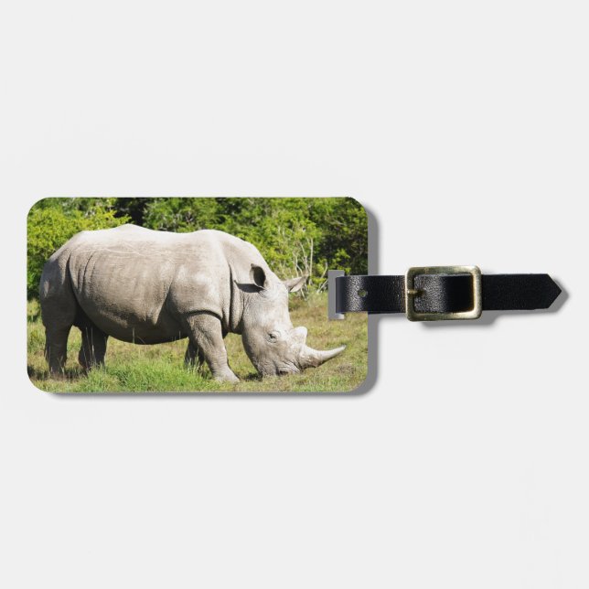 Aufdeckung eines fütternden Rhino während auf Gepäckanhänger (Vorderseite horizontal)