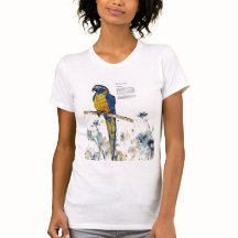 Auffallend gefährdete Makrelenwasserfarbe