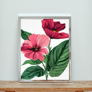 Auffallend Rosa-Hibiskus-Blume Fotodruck