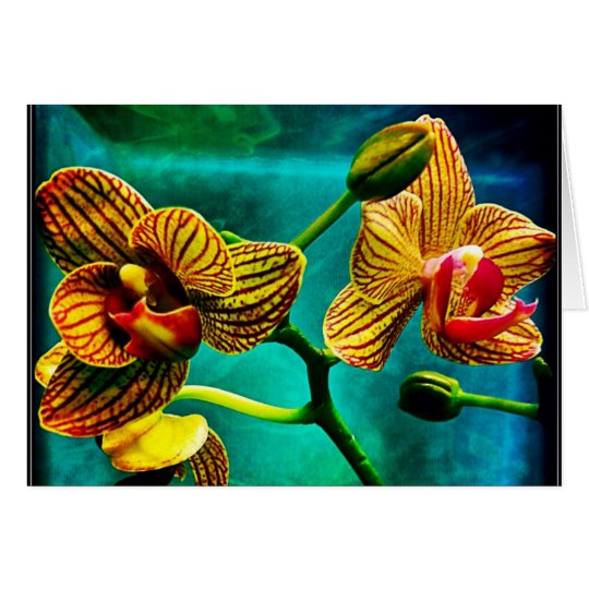 Auffallende Phalenopsis Orchideen-Raum-Gruß-Karte Karte