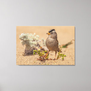 Auffallende Pose Leinwanddruck