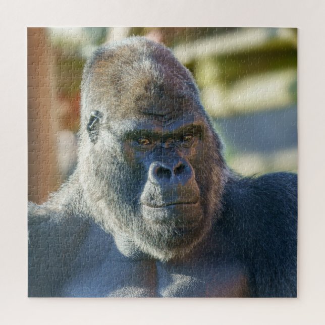 Auffallende Silverback (Vertikal)