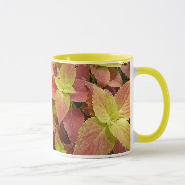 Auffallendes Buntlippen-Blätter Tasse (Rechts)