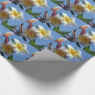 Auffällige Plumeriafrangipani-Blüte Geschenkpapier