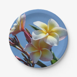 Auffällige Plumeriafrangipani-Blüte Pappteller
