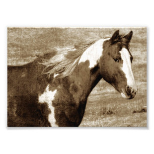 Auffälliger Tobinano StuteSepia Fotodruck
